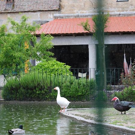 Quinta Dos Patos Βίλα Pinhanços Εξωτερικό φωτογραφία