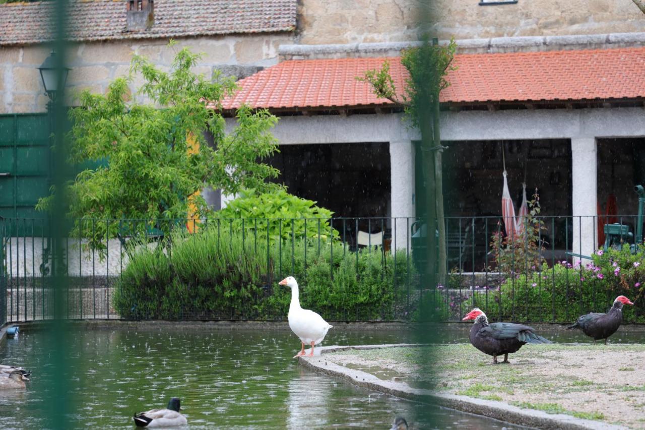 Quinta Dos Patos Βίλα Pinhanços Εξωτερικό φωτογραφία